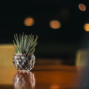 Portal Plaza 4* Mendoza